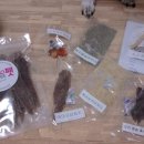 아이라이크펫 이미지