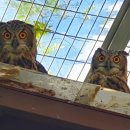 자연의 품 이미지