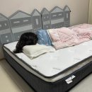 열실슈퍼 | 데코라인 실루나 포켓스프링 매트리스 SS 25CM 추천 이유