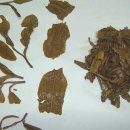 (주)유니버스 항공 이미지