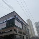 셀레네 헤어살롱 네이버블로그