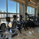 헤라클레스 피트니스 이미지