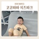 코코플레이존 | 경기광주 대형 키즈카페 코코파파 내돈내산 솔직후기