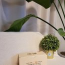 주식회사 메디웰 | 매일유업x대웅제약이 만든 메디웰-고단백 영양식 마셔봤어요.