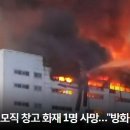 윤물류 일간스포츠