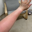 고릴라캠핑 in 속리산 이미지