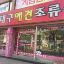 대구애견조류원 이미지