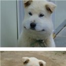 퍼스트사랑니치과의원 이미지