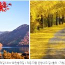 거창목장 이미지