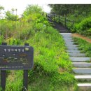 ★8월: 31일: 토요일: 밀양 아리랑길 용두산(130m) 추화산(243m) 트레킹 이미지