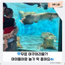 연은초등 | [공지] 충북 괴산 아쿠아리움, 무료인데 이렇게 알차다고?! 아기랑 실내 나들이 후기🐠