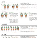 힘뇌체조 이미지