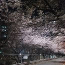 숙성의미껍데기 - 종로구 돈화문로 53-1 | 숙성의미껍데기