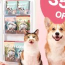 판타펫코리아 이미지