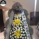 함백산플라워