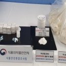 렉소 시사포커스