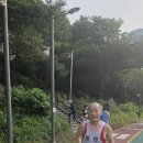 병해천 Daum카페