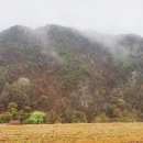 두꺼비가든 이미지