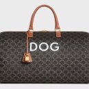 럭셔리펫 이미지