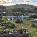 미룡공인중개사사무소 이미지