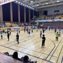 한체대 석사 태권도 이미지