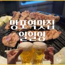 망포역맛집, 양갈비는 일일양에서_내돈내산 후기