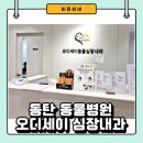 오디세이 | 동탄 동물병원 오디세이심장내과 강아지심장병 검진 받은 후기