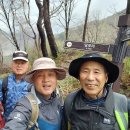 제362차 鳥項嶺(675m) 4.16(火) 定期山行 이미지