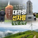 양화정휴게소 앞(간이화장실) | [평창 대관령] 선자령 등산코스 완만한 트레킹 후기 (주차·준비물·애견동반 팁)