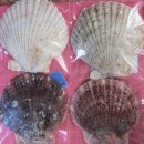 방달팽이 연구소 이미지