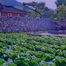 충청도민박 이미지