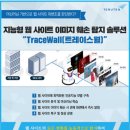 트레이디