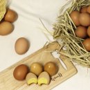 삶은 계란 칼로이와 단백질 함량 이미지