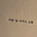 도배, 타일, 방수기능사,건축도장 학원추천 반구동 도배타일기술학원 야간반 수강 후기