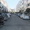 사파동310 이미지