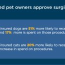 동물병원 WITH-PET 이미지