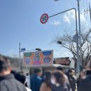 전화국 뒤-2 | 부산 기장 반짝반짝 매화원 주차 대중교통 먹거리 개화상태 관람기간 총정리 솔직후기