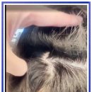 칠성시장역 이미지