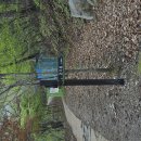 꽃~~!!!,거문고와신선? 이미지