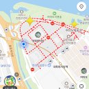 파크힐 여의도 | 여의도 윤중로 벚꽃축제 2026 (실시간 개화 상태 ・ 주말 인파 ・ 포토존 ・ 날씨 그리고 벚꽃 구매)