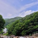 정자나무농원 이미지