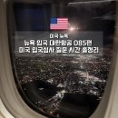 The. Q 당구존 | 대한항공 085편 미국 입국심사 질문 시간 뉴욕 입국 총정리