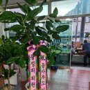 함평읍사무소 이미지