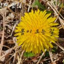 TK♡ '고향의 봄' 🌸 이미지