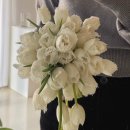 데이토나 | w.10 레플레르드 본식부케 계약후기 | 가성비부케 데이토나 튤립 드롭부케 견적