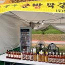 라인&탭댄스 | 야밤공주맥주축제 축제기간 주차 행사장 이용 꿀팁