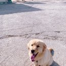 뭉 - 서구 | 뭉