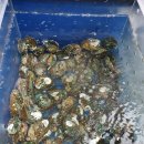 형노가(5호점) 이미지