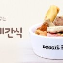 도기부기 이미지