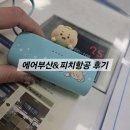 부여터미널(40022~24) | BX174, 간사이공항에서 시내까지, 피치항공 MM709 후기, 난카이난바역 짐보관 트래블허브 추천! 서울역...